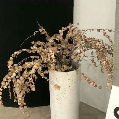 社旗FurryQQ群介绍